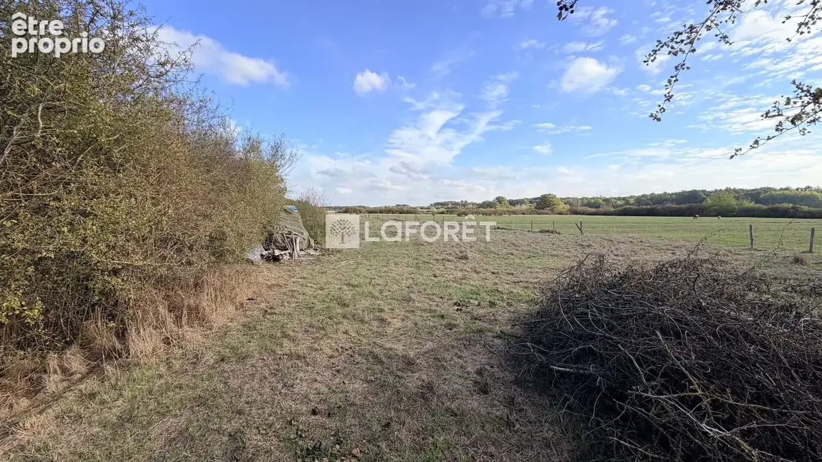 Terrain Villers En Argonne 7350 m2 - photo 7