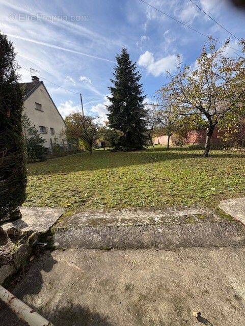 Terrain à THORIGNY-SUR-MARNE