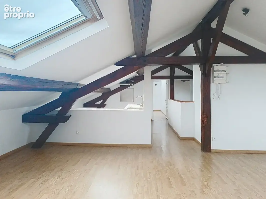 Appartement type 3 de 102 m2 dont 52.06 m2 carrez - photo 6