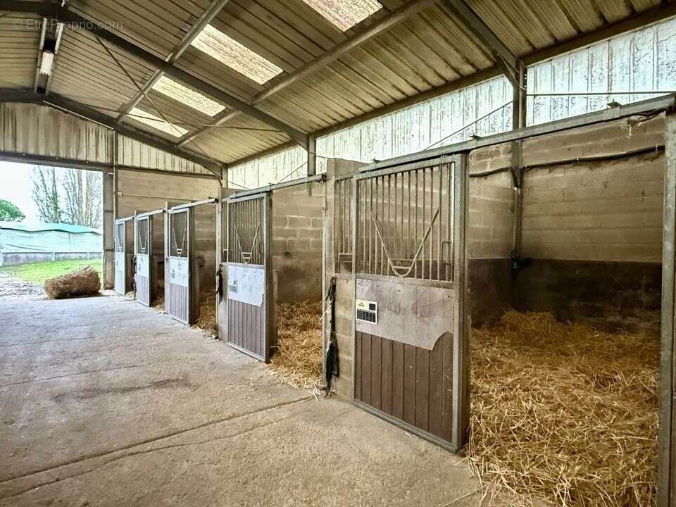 Ecurie 21 box à vendre-Secteur PROVINS-77 - photo 4