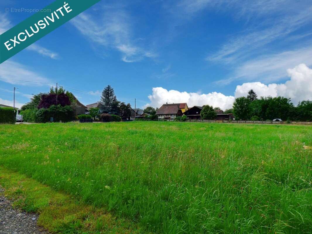 Photo 3 - Terrain à TRAUBACH-LE-BAS