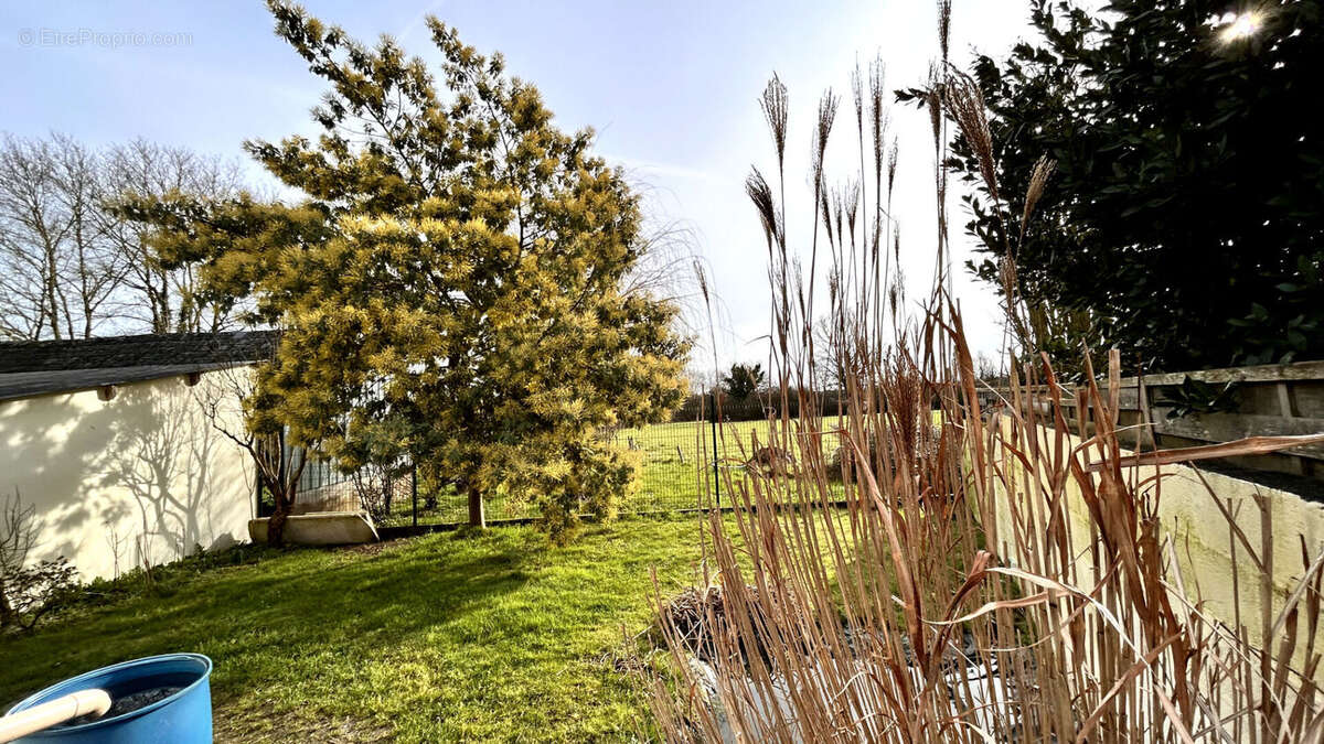 Maison à LE LOUROUX-BECONNAIS