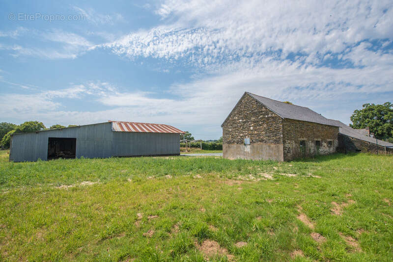 Ensemble en pierre à rénover – 340 m² de potentiel habitable – Hangar 223 m² – Terrain 3 109 m² - photo 19