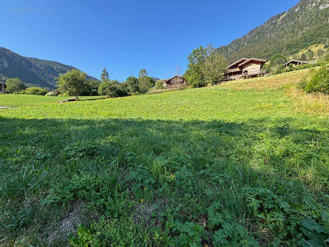Terrain viabilisé Bonnevaux 1518 m2 avec permis de construire accepté (74360) - photo 2
