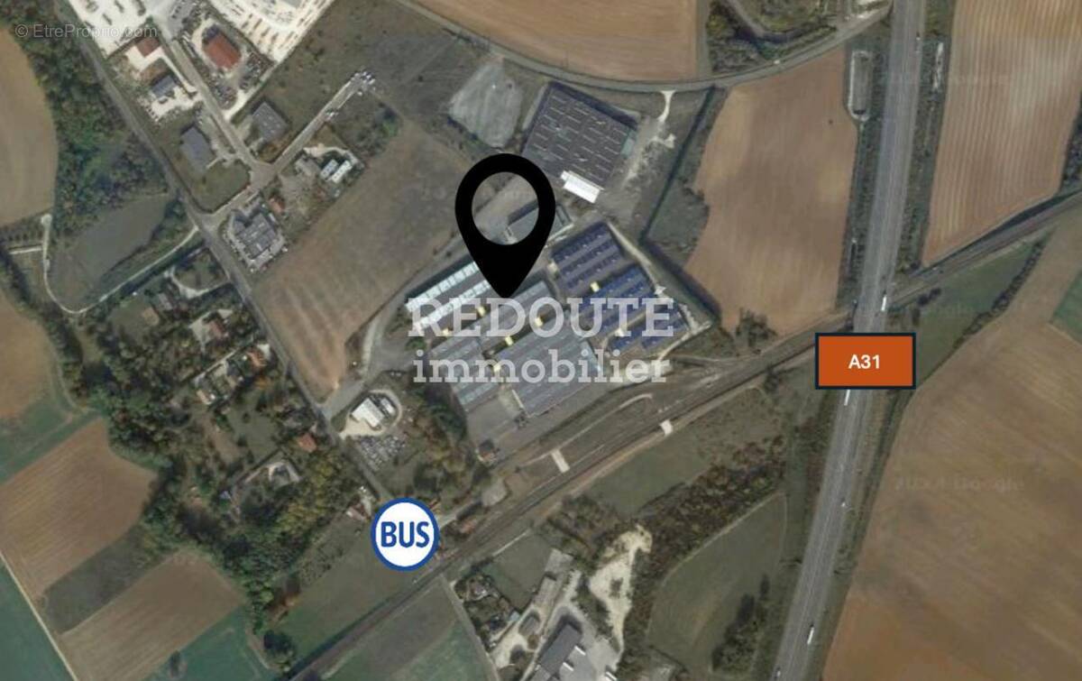 Commerce à SELONGEY