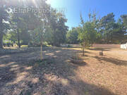 Terrain à LES MATHES