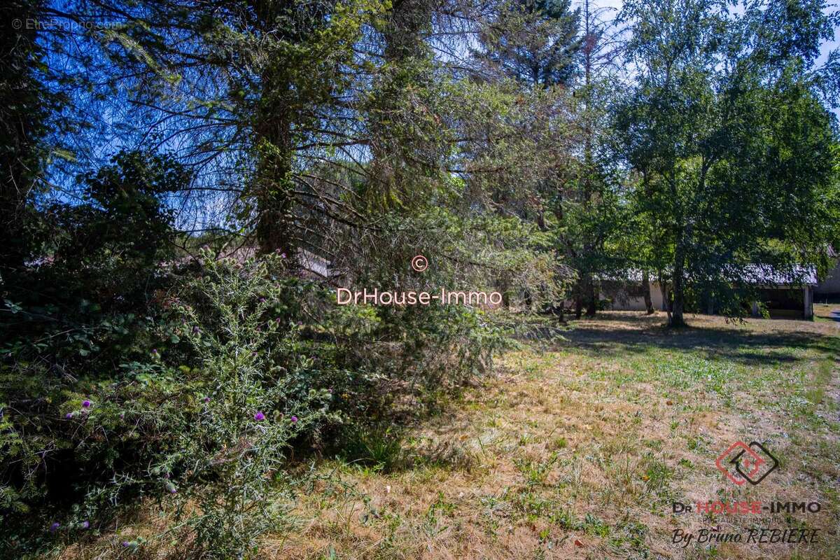 Terrain à SAINT-GERMAIN-DU-SALEMBRE