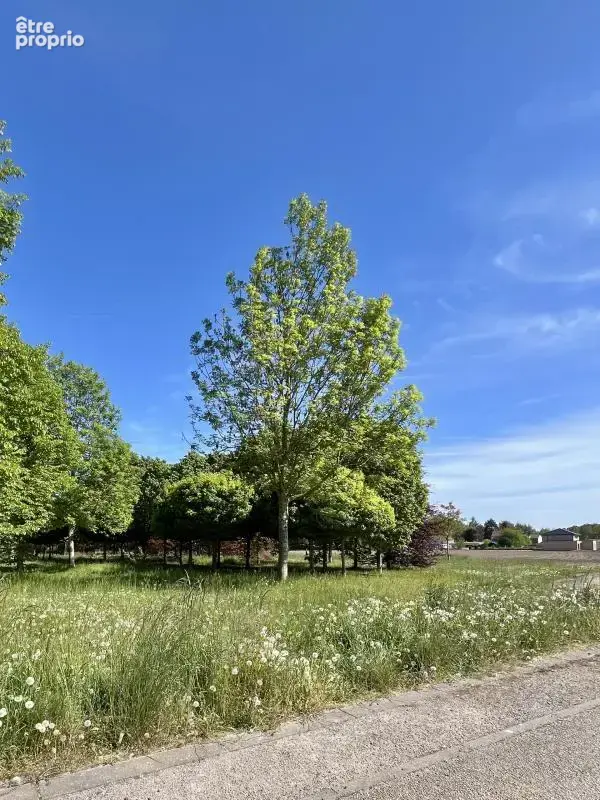 Terrain à QUAROUBLE
