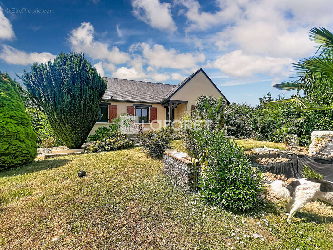 Maison Louresse Rochemenier 4 pièces 94 m2 - photo 16