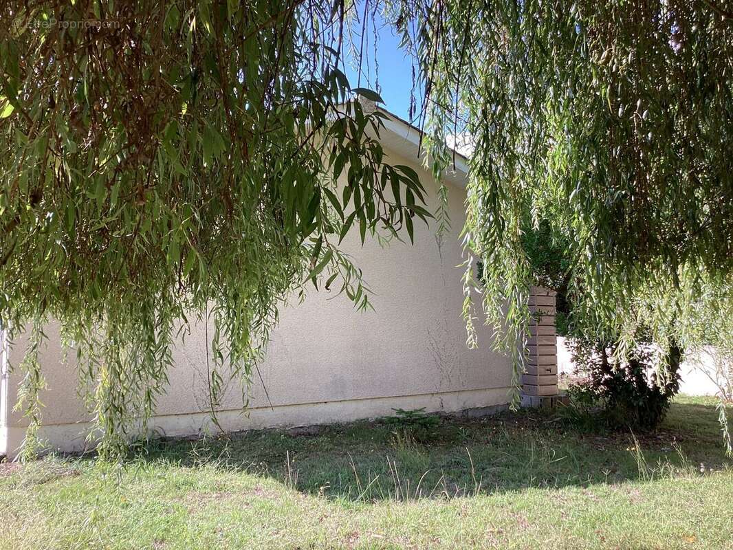 FACADE COTE JARDIN - Maison à LE VERDON-SUR-MER