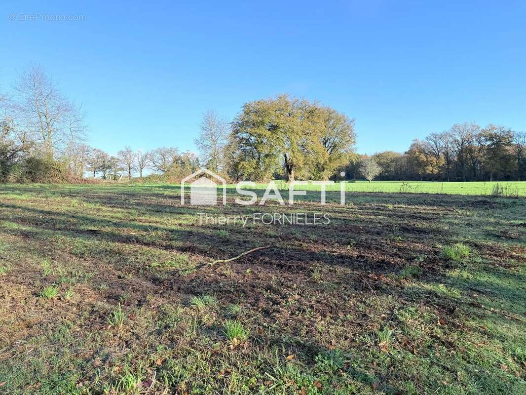 Photo 3 - Terrain à SAINT-JUST-LE-MARTEL