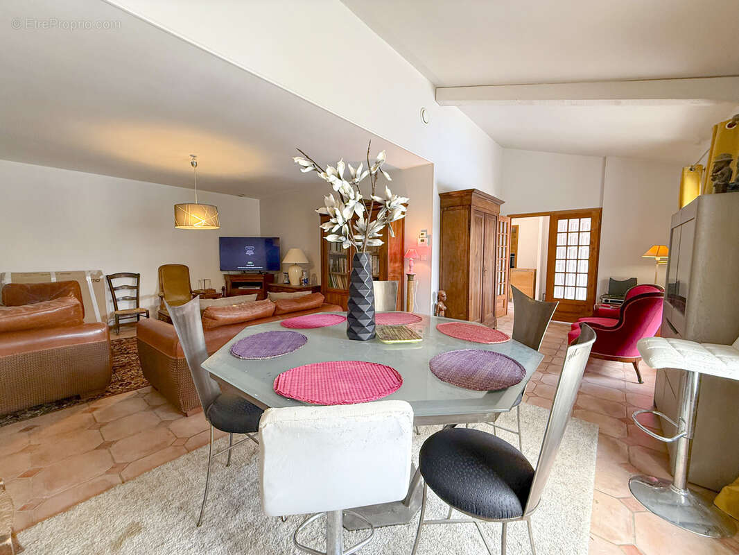 Villa de charme f6 avec piscine au coeur de la camargue - photo 4