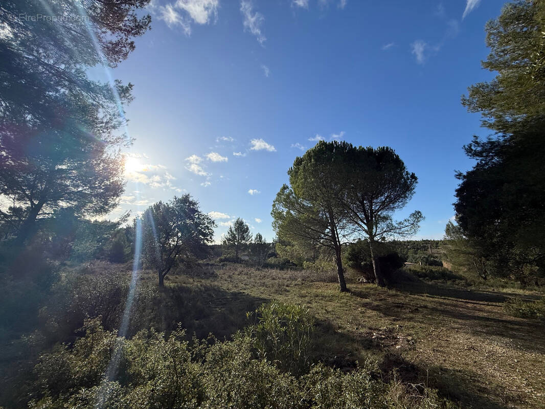 Terrain à GUZARGUES