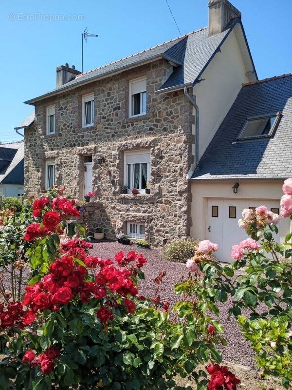 Maison à SAINT-QUAY-PERROS