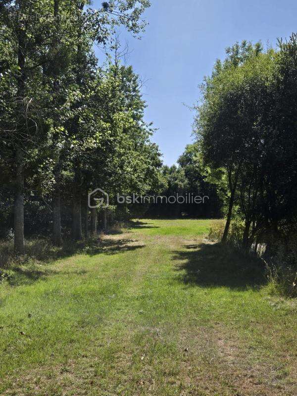 Axe Laval Mayenne Evron terrain 4,5 ha avec étangs - photo 4