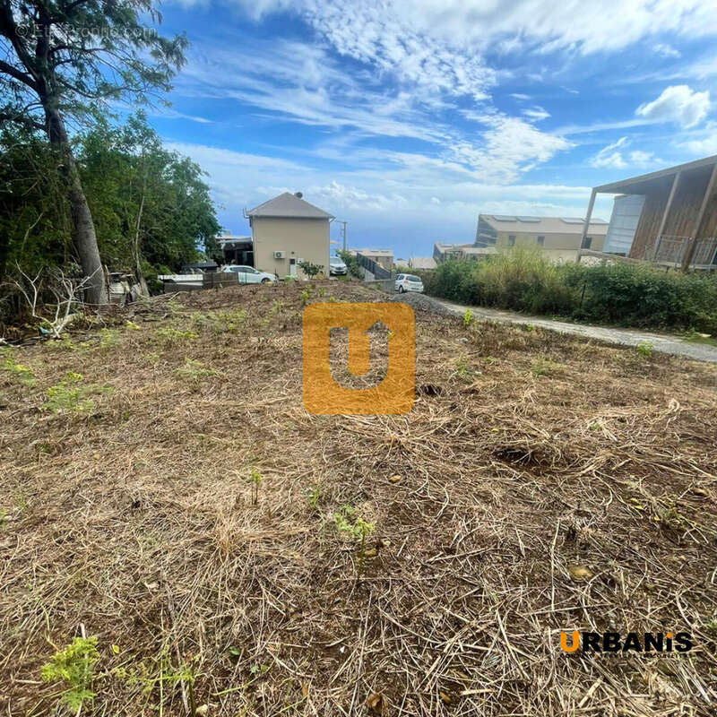 Terrain à LES TROIS-BASSINS