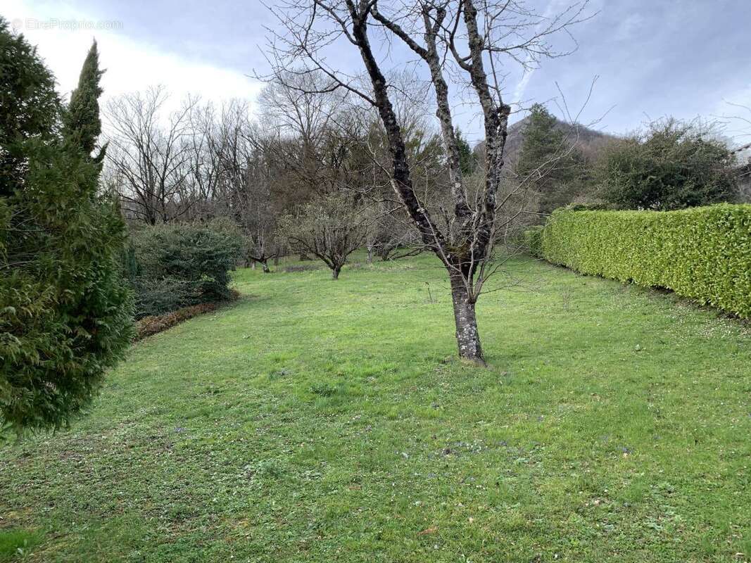 Terrain à LA TERRASSE