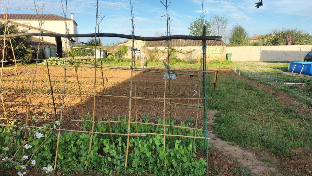 Terrain à SAINT-POMPAIN