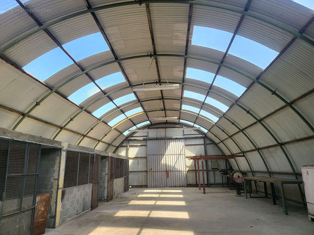 Terrain à CARCASSONNE