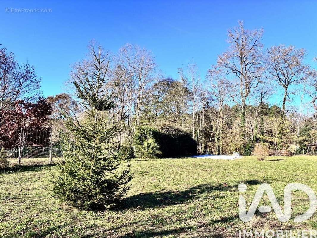 Photo 6 - Maison à SORT-EN-CHALOSSE