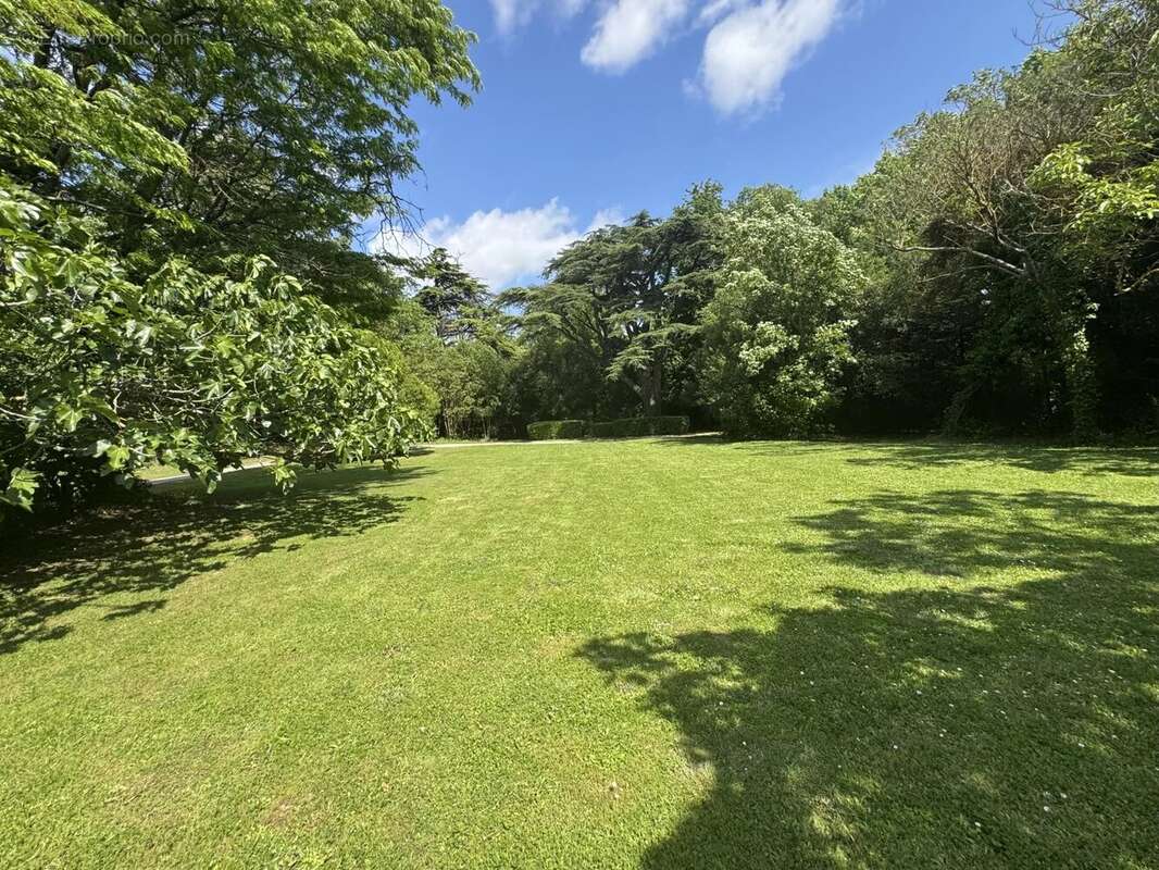 Maison à CARCASSONNE