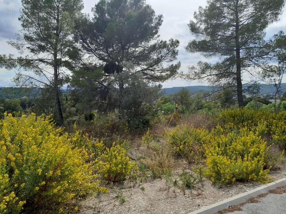 Terrain 774 m² à Draguignan  - photo 5