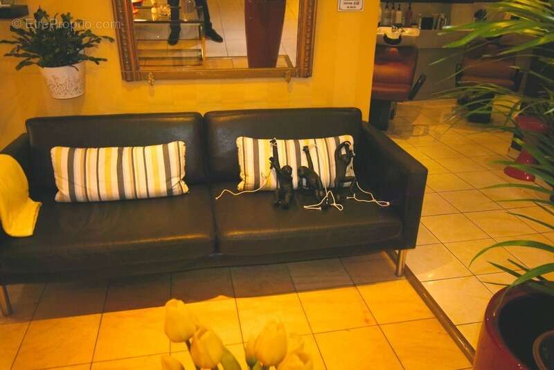 Commerce à STRASBOURG