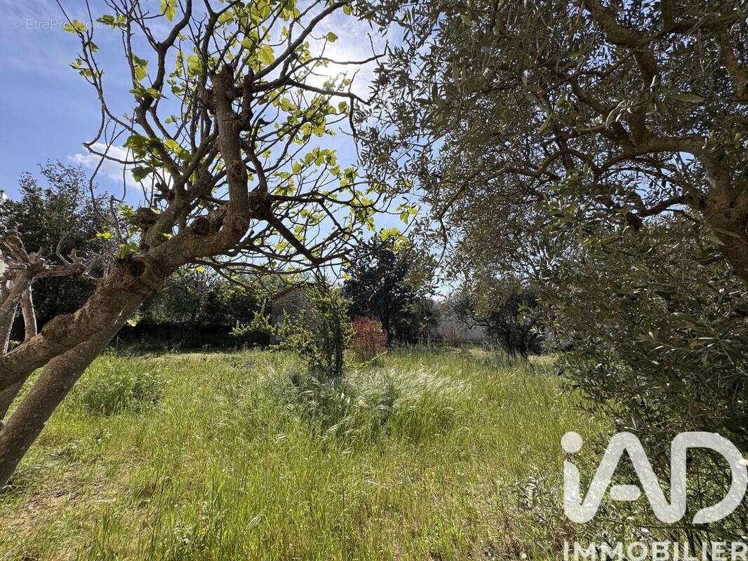 Photo 1 - Terrain à CAVAILLON