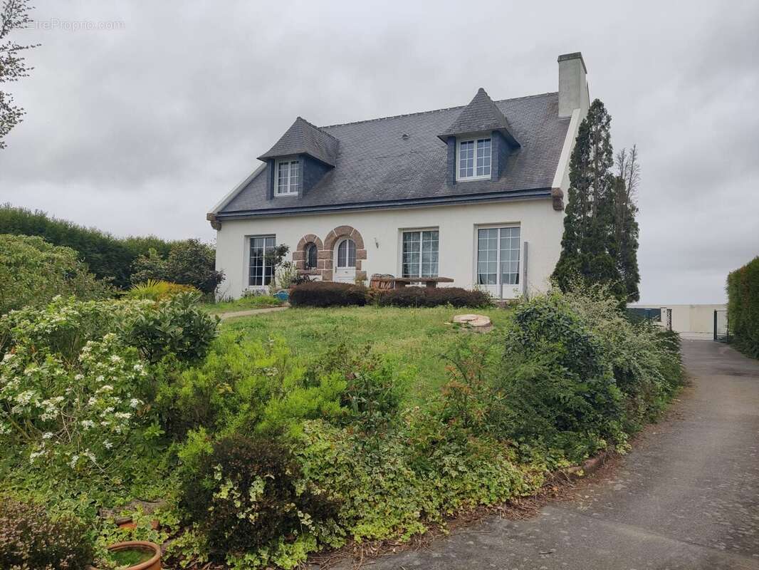 Jardin exposé sud - Maison à CHATEAUGIRON