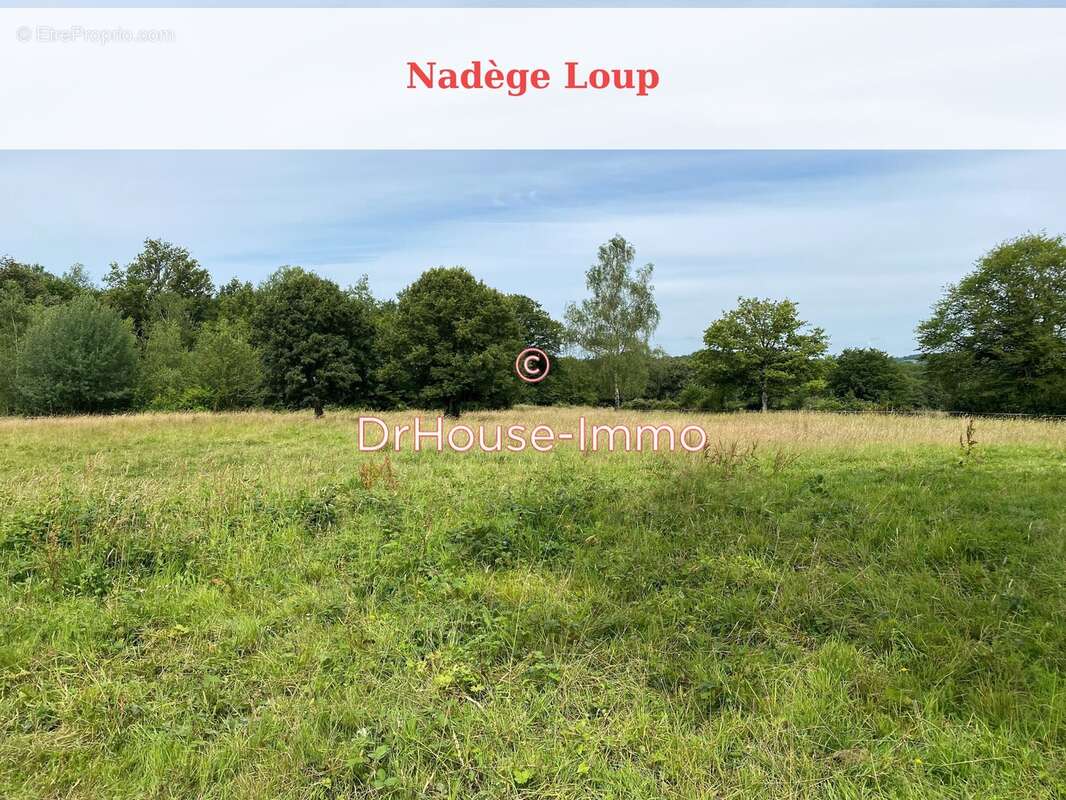 Maison 310 m² à Sainte-Colombe-Sur-Loing  - photo 16