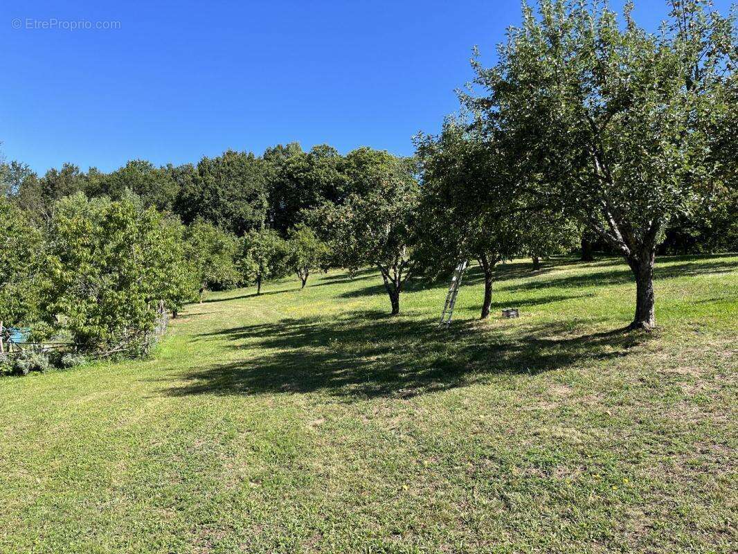 Maison à SAINT-PERDOUX
