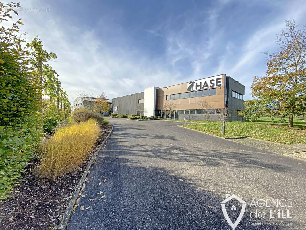 Commerce à BERGHEIM