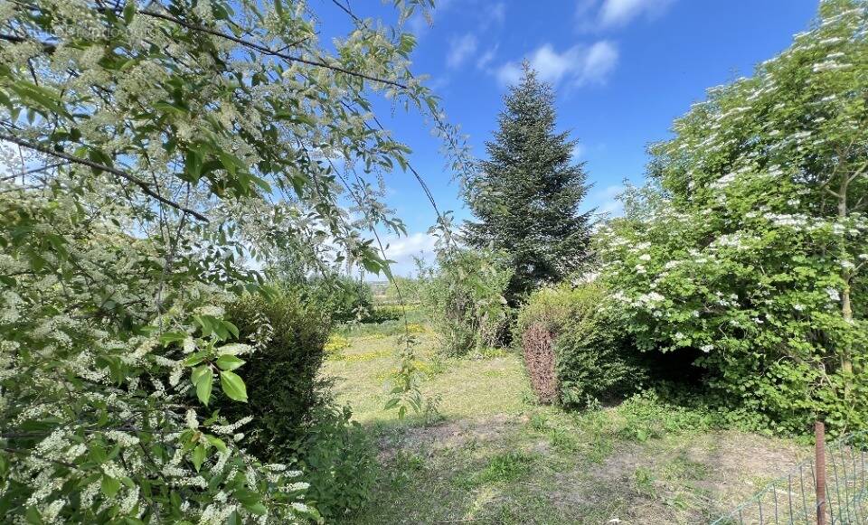 Terrain à CREMAREST