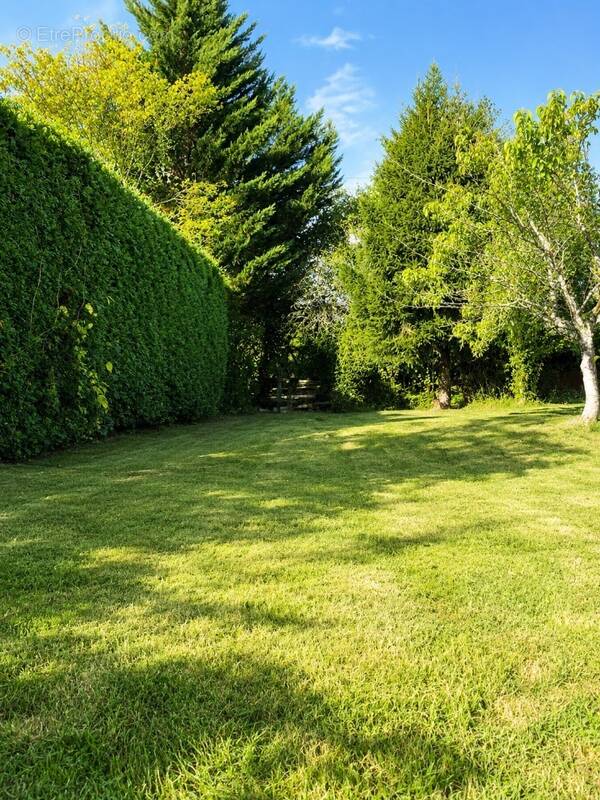 Terrain 475 m² à Pessac  - photo 1