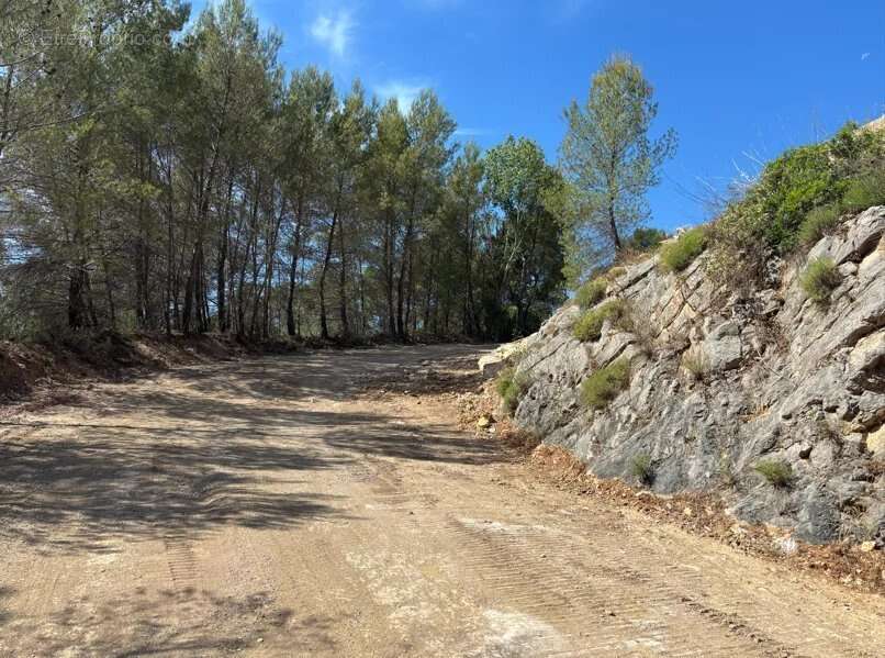 Figanières – terrain agricole et forestier de plus de 9 hectares - photo 5
