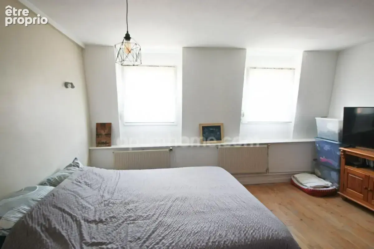 Hem – Maison 1900 rénovée avec jardin sans vis-à-vis et dépendance - photo 9