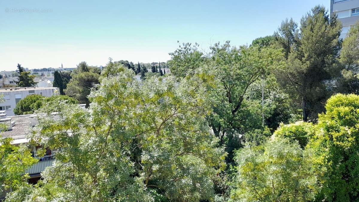 Appartement à MONTPELLIER