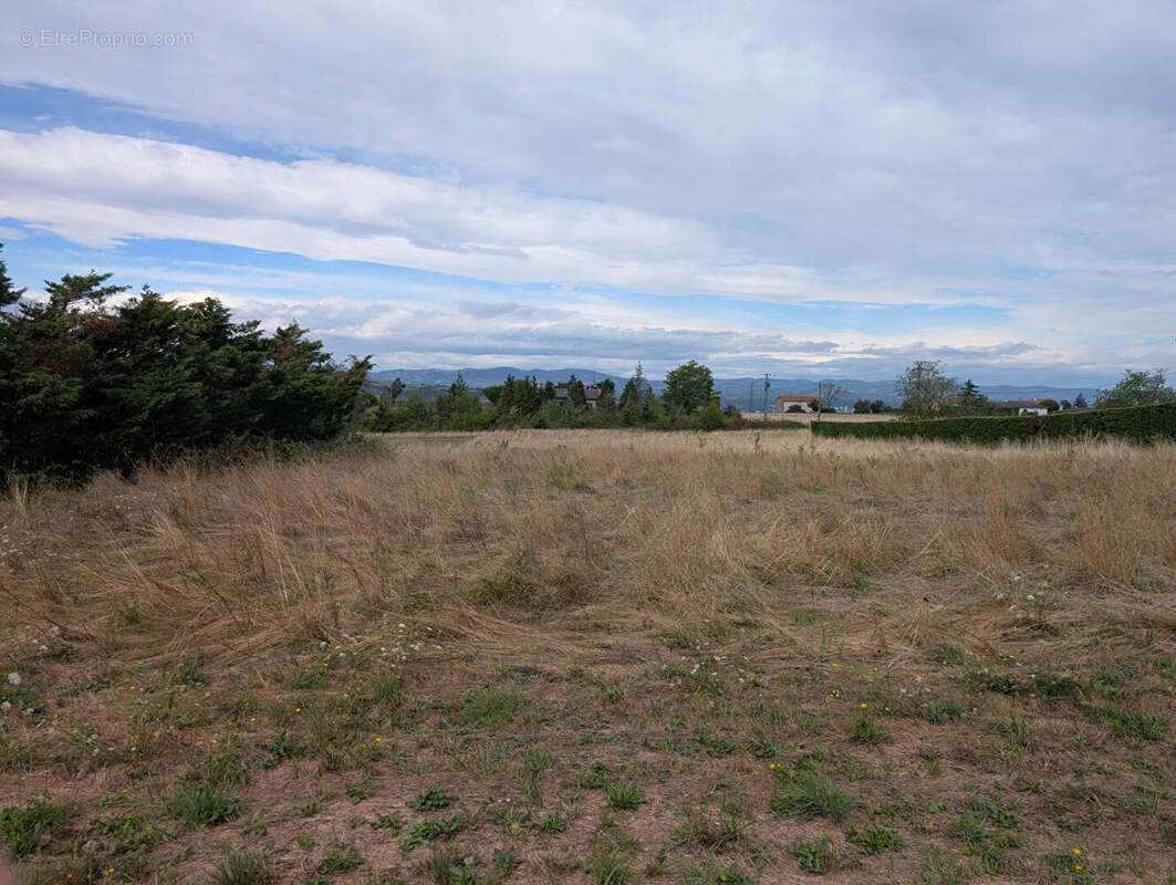 Terrain à SEYSSUEL