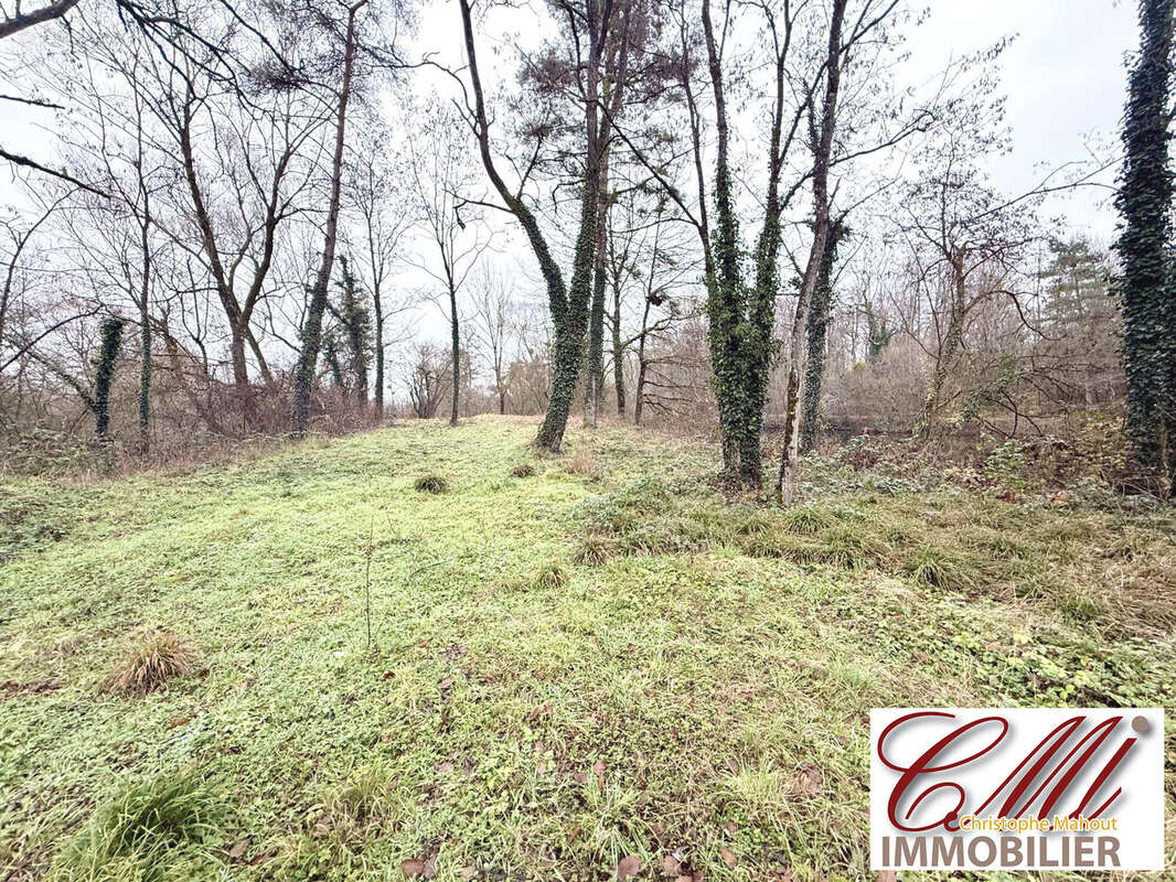 Terrain à VITRY-LE-FRANCOIS