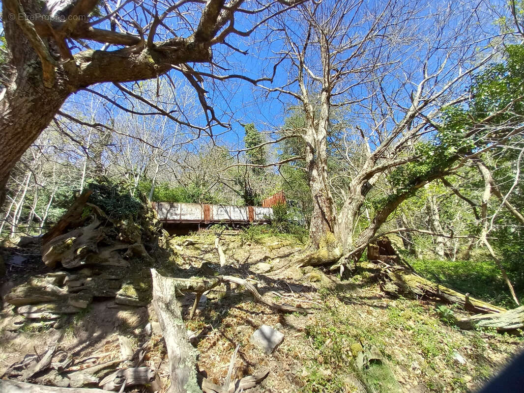Unique ! ancienne Ferme à rénover sur 15Ha de patures et bois . - photo 15