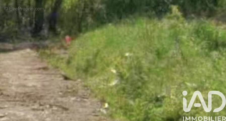 Photo 1 - Terrain à FORS