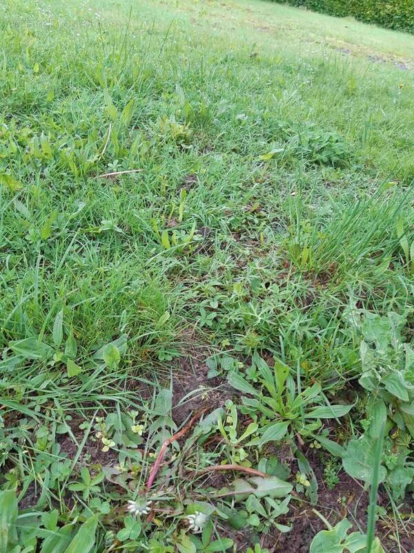 Terrain à ARTHON-EN-RETZ