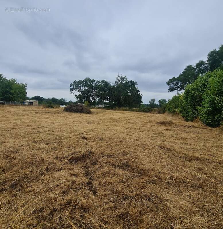 Terrain à SAINT-MEDARD-DE-GUIZIERES