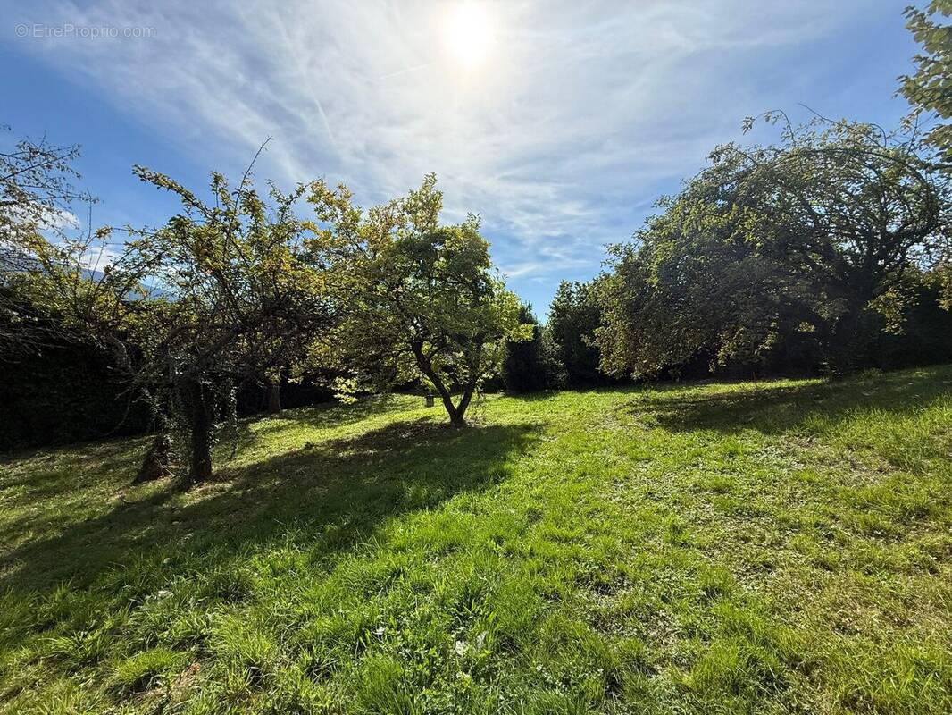 Terrain à SAINT-MARTIN-D&#039;URIAGE