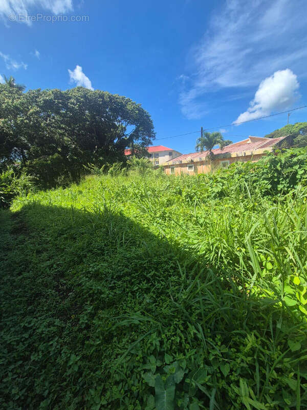 Terrain à LE MORNE-ROUGE