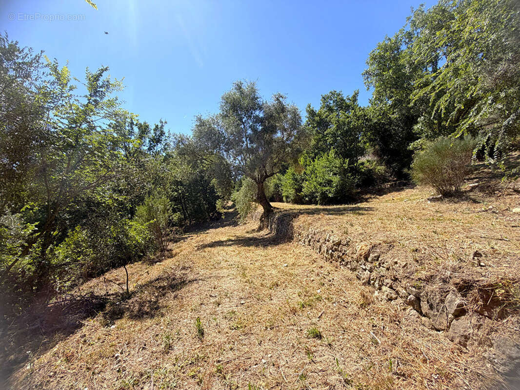 Terrain d'exception avec vue dominante - Callian - photo 2