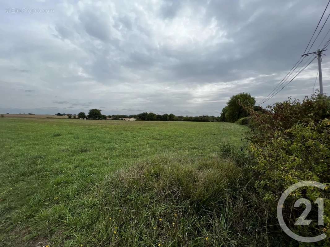 Terrain à SAINT-GENARD