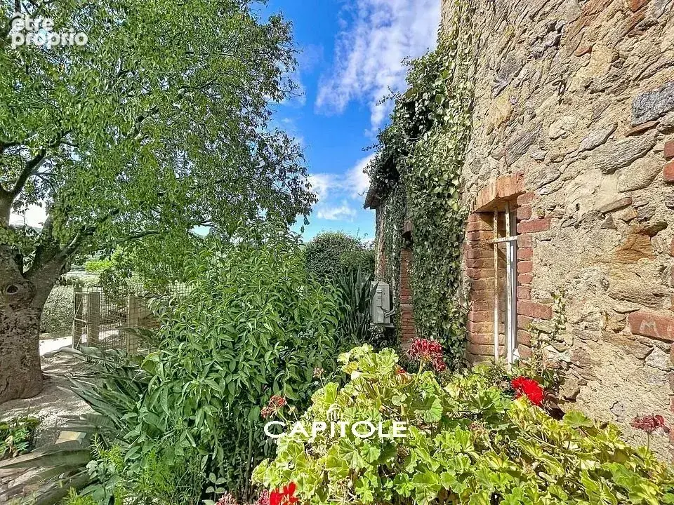 Magnifique propriété de 9 hectares à St Maxime avec Bastide en pierre, oliveraie et dépendances. - photo 3