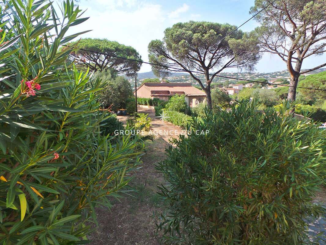Terrain à SAINTE-MAXIME