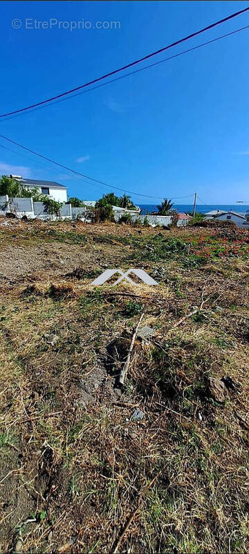Terrain à LES TROIS-BASSINS